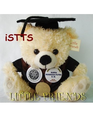 Boneka Wisuda iSTTS Surabaya - Informasi (25 cm)